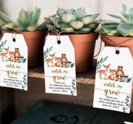 Party favor tags printable